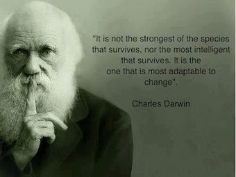 Adaptation... | Quote for Thought | Scoop.it