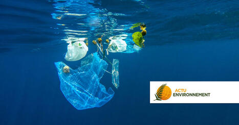 Le minist&egrave;re de la Transition &eacute;cologique pr&eacute;sente son plan national de lutte contre les plastiques en mer | Environnement - &Eacute;nergie | Scoop.it