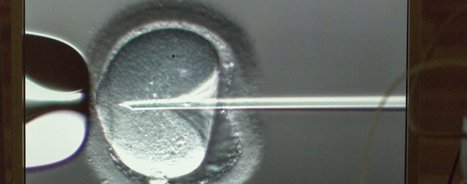 Il est temps de l&eacute;galiser le diagnostic pr&eacute;implantatoire | Bio&eacute;thique & Procr&eacute;ation | Scoop.it