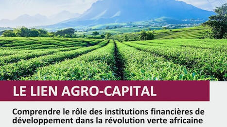 Comprendre le rôle des IFD dans la révolution verte africaine - Rapport | Questions de développement ... | Scoop.it