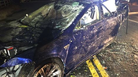 Man dies after Tesla crashes into San Francisco area pond | Sustainability Science | Scoop.it