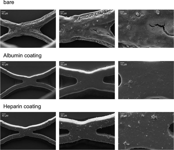 Preclinical Evaluation of the Thrombogenicity and Endothelialization of Bare Metal and Surface-Coated Neurovascular Stents | Neurovascular Intervention | Scoop.it