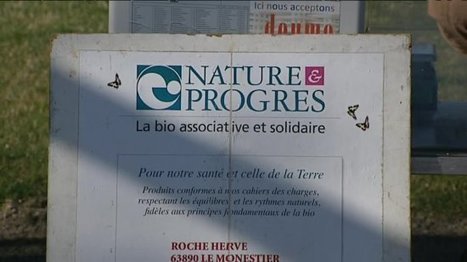 Agriculture biologique : un marché à forte croissance en Auvergne - France 3 Auvergne-Rhône-Alpes | Le Fil @gricole | Scoop.it