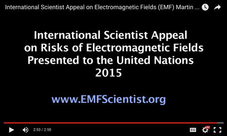 International Scientist Appeal on Electromagnetic Fields (EMF) // Martin Blank, PhD | Screen Time, Tech Safety & Harm Prevention Research | Scoop.it
