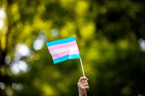 Staff exodus hits top U.S. transgender group on eve of 2020 election campaign | PinkieB.com | LGBTQ+ Life | Scoop.it