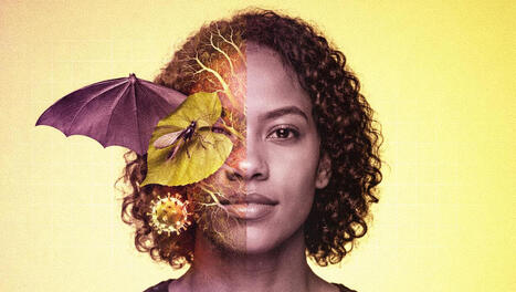 One Health : pourquoi cette approche prend soudain une importance capitale | Veille UrbaLyon : Sant&eacute; environnementale & bienfaits du v&eacute;g&eacute;tal | Scoop.it