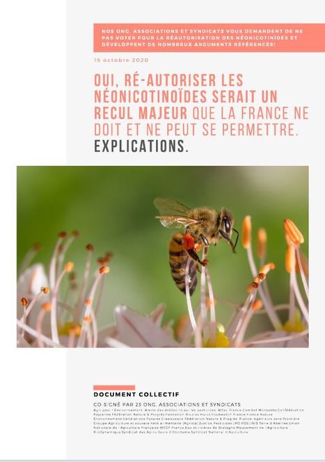 Pucerons. Insecticides néonicotinoïdes : l’Institut technique de la betterave juge les solutions alternatives inefficaces, mais 23 organisations montent au créneau pour les défendre | EntomoNews | Scoop.it