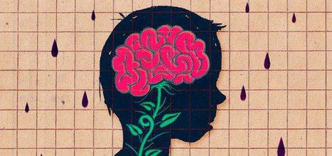 For Teenage Brains, the Importance of Continuing to Learn Deeply | 21st Century Learning and Teaching | Scoop.it