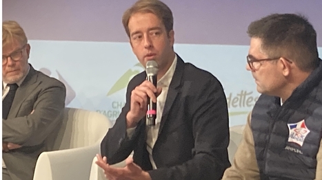 Centre-Val de Loire : les fruits et légumes frais tirent leur épingle de l’étal | Revue de presse économique du Sud Touraine | Scoop.it