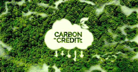 Carbon Credits: A Comprehensive Overview | Online Marketiing | Scoop.it