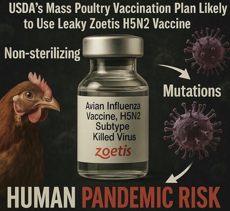 ‏🚨 USDA’s Mass H5N1 Poultry Vaccination Plan Likely to Rely on Leaky Zoetis H5N2 Vaccine‏ | ‏Nicolas Hulscher, MPH‏ | Hésitations Vaccinales: Observatoire HESIVAXs | Scoop.it