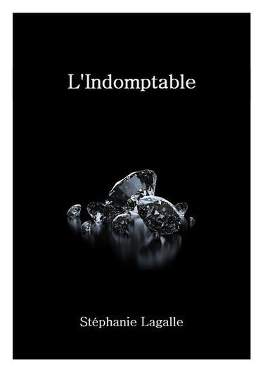 L'Indomptable | J'écris mon premier roman | Scoop.it
