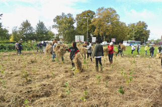 Des forêts urbaines en germe | Energy Transition in Europe | www.energy-cities.eu | Scoop.it