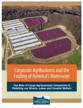 Stomach turning report: The astounding quantities of water pollution coming from Smithfield Foods &ndash; The Progressive Pulse / 07.07.2016 | Pollution accidentelle des eaux (+ d&eacute;chets plastiques) | Scoop.it