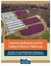 Stomach turning report: The astounding quantities of water pollution coming from Smithfield Foods – The Progressive Pulse / 07.07.2016 | Pollution accidentelle des eaux par produits chimiques | Scoop.it