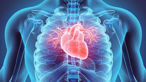 Revolutionary Diagnosis Concepts For Cardiovascular Disease | Part 2 | Call: 915-850-0900 | The Gut "Connections to Health & Disease" | Scoop.it