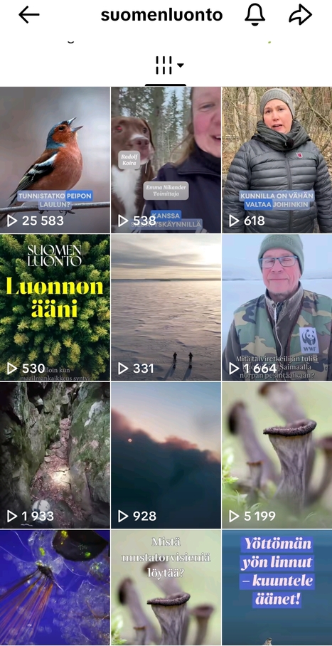 TikTok - Suomen luonto | 1Uutiset - Lukemisen tähden | Scoop.it