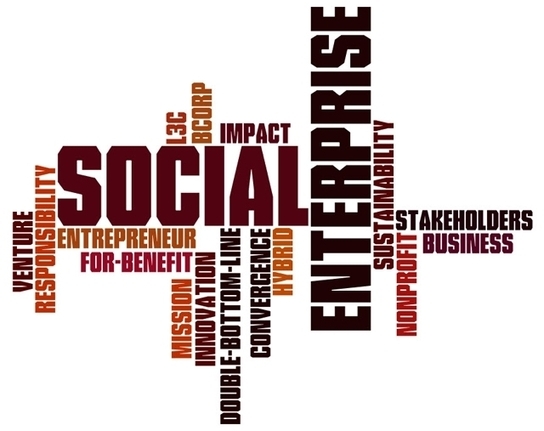 Social Enterprise Knowledge Exchange Community of Practice
