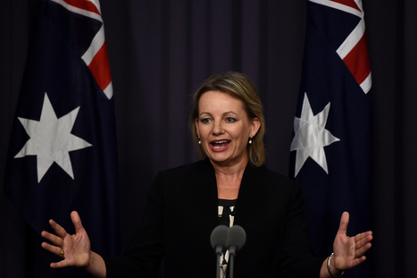 How likely are doctors to charge more due to the rebate freeze? | The Science of Learning | Scoop.it