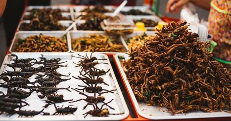 #MiamMiam | Pourquoi les #insectes ne sont-ils toujours pas dans nos #assiettes ? - Huffingtonpost | RSE et Développement Durable | Scoop.it