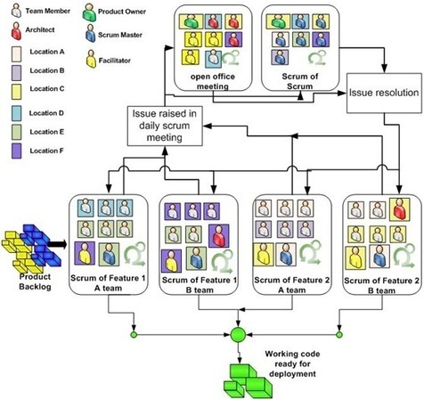 organization scrum development team