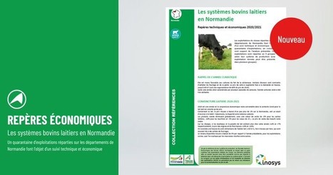 Les systèmes bovins laitiers en Normandie | Lait de Normandie... et d'ailleurs | Scoop.it