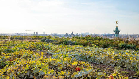 La végétalisation des bâtiments avance en France | Paysage - Agriculture | Scoop.it