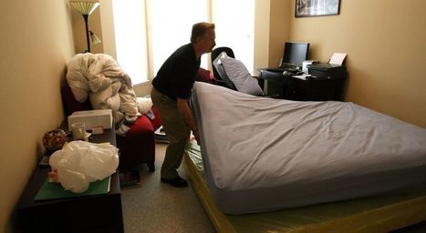 Marseille. Invasion de punaises de lit : que faire pour s&rsquo;en d&eacute;barrasser ? | Vari&eacute;t&eacute;s entomologiques | Scoop.it