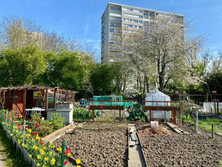 Comment Rig-Orangis repense l'urbanisme avec un PLU partant des sols | Veille territoriale AURH | Scoop.it