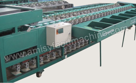 china food processing machinery