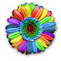 Curación de contenidos│@flosflorum | Filtrar contenido | Scoop.it