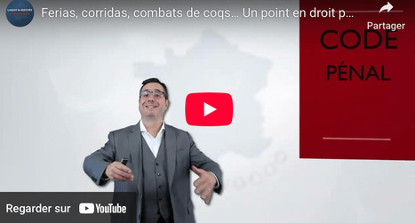 Ferias, corridas, combats de coqs&hellip; Qu&rsquo;est-ce qu&rsquo;une &laquo; tradition locale ininterrompue &raquo; ? Pour quels territoires ? [VIDEO et article] [mise &agrave; jour au 27 mai 2026] | Politiques publiques et soci&eacute;t&eacute; | Scoop.it