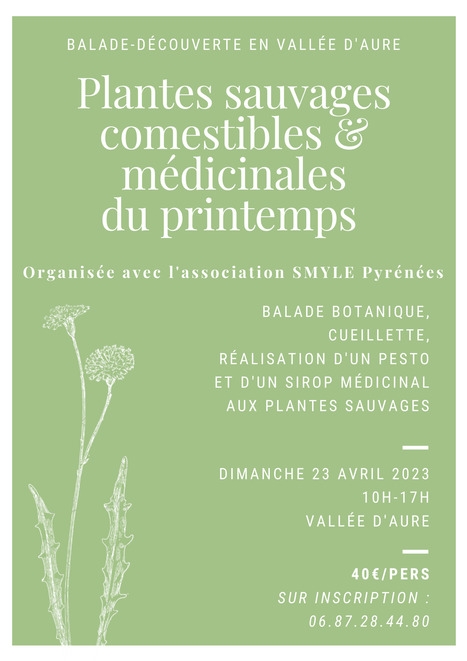 Balade botanique en vallée d'Aure le 23 avril | Vallées d'Aure & Louron - Pyrénées | Scoop.it