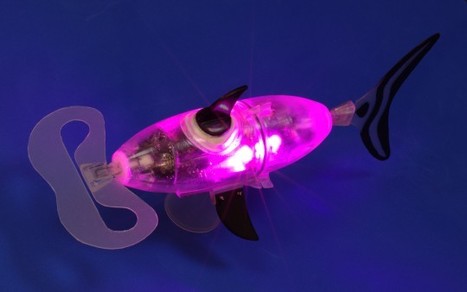 Robotswim, specialist in designing mini autonomous robotic fishes. | Robolution Capital | Scoop.it