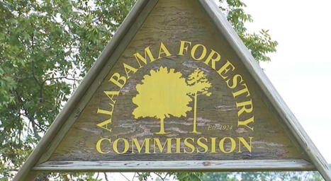 Alabama Forestry Commission fights record number of wildfires - cbs42.com | Operation Deimos | Scoop.it