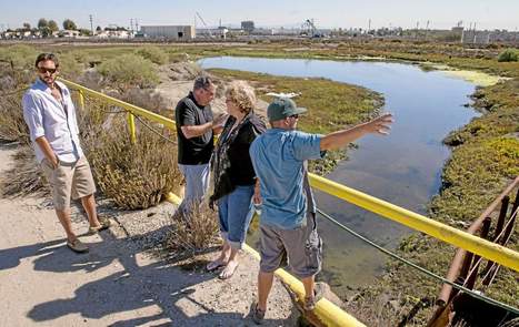 Re-imagining the Los Cerritos Wetlands in Long Beach | Coastal Restoration | Scoop.it