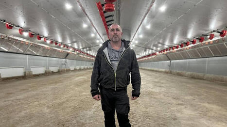 En Loire-Atlantique, l&rsquo;&eacute;levage de dindes de cet agriculteur a &eacute;t&eacute; frapp&eacute; par la grippe aviaire&nbsp;: &laquo;&nbsp;J&rsquo;ai tout perdu&nbsp;&raquo; - Ouest France | Agriculture en Pays de la Loire | Scoop.it