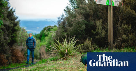 A birdwatching trip back in time: ‘What pre-mammal New Zealand would’ve been like’ | Trans Tasman Migration | Scoop.it