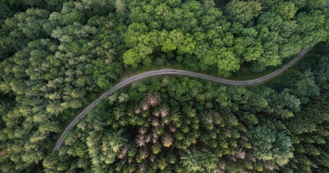 ENVIRONMENT: Addressing challenges in the land sector under the Paris Agreement | DURABILITES | Scoop.it