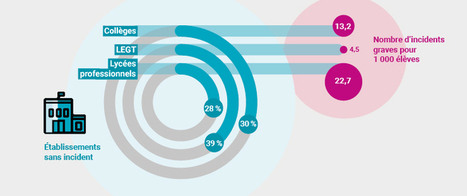 Résultats de l'enquête Sivis 2018-2019 | Veille Éducative - L'actualité de l'éducation en continu | Scoop.it