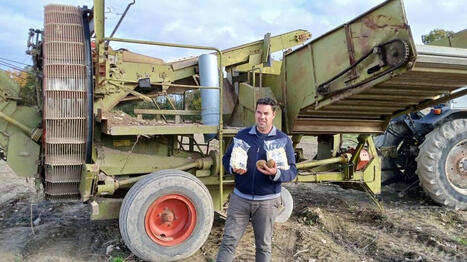 Il ne produit plus de lait mais des patates, coupées en frites fraîches ou surgelées - Ouest France [Abonnés] | Agriculture en Pays de la Loire | Scoop.it