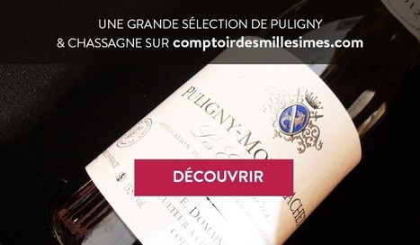 Classement des meilleurs vins de Chassagne-Montrachet et Puligny | oenologie | Scoop.it