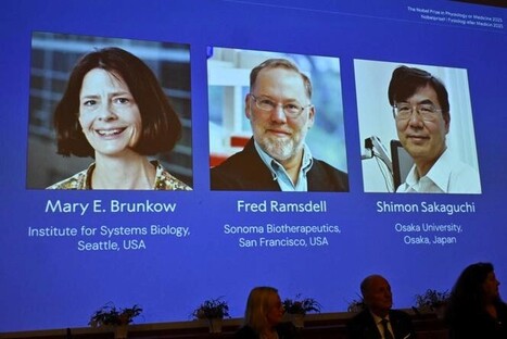 Le prix Nobel de médecine décerné aux chercheurs américains Mary E. Brunkow, Fred Ramsdell et japonais Shimon Sakaguchi, pour leurs recherches sur le contrôle du système immunitaire | Life Sciences Université Paris-Saclay | Scoop.it
