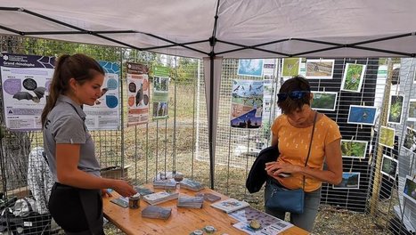 Lacroix-Falgarde. 7e Fête de la Réserve naturelle sous le signe de l’arbre | Lacroix-Falgarde | Scoop.it