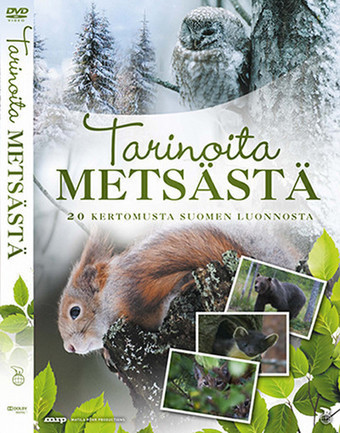 Tarinoita metsästä — Luonnonsuojeluliitto | 1Uutiset - Lukemisen tähden | Scoop.it