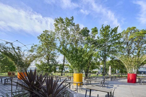 Urban Canop&eacute;e : le min&eacute;ral &agrave; l'ombre du v&eacute;g&eacute;tal&nbsp; | Regards crois&eacute;s sur la transition &eacute;cologique | Scoop.it