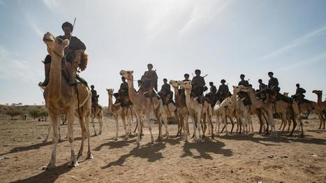 Mont&eacute;s sur leurs dromadaires, les m&eacute;haristes prot&egrave;gent dans le d&eacute;sert les fronti&egrave;res de la Mauritanie | NOUVELLES D'AFRIQUE | Scoop.it