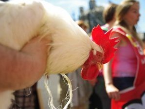 Vannes. 250 personnes manifestent pour l'abattoir Doux de Sérent [Vidéo] | La Gazette des abattoirs | Scoop.it