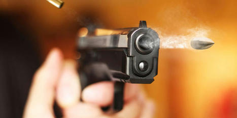 Gun owners in America need more training, not more guns: professor - RawStory.com | Backstabber Watch | Scoop.it