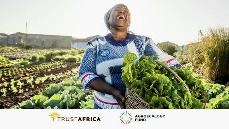 Contre la faim et le changement climatique en Afrique : la piste de l’agroécologie | Questions de développement ... | Scoop.it